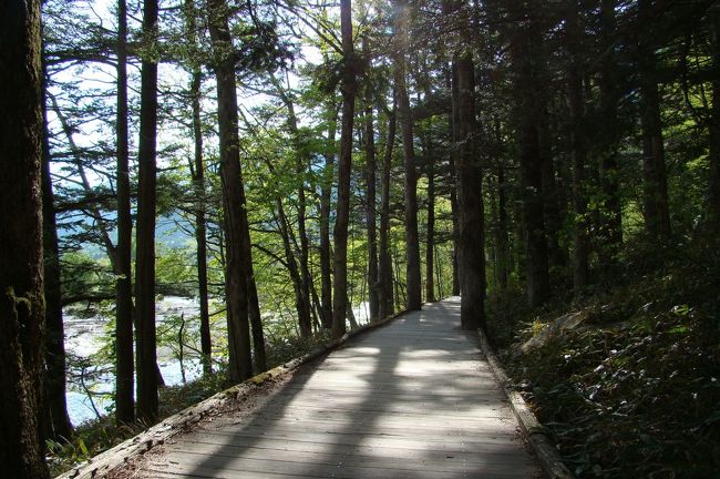 木道のすぐ下は梓川。<br /><br /><br />水が青く澄んでいて、とても美しかった。