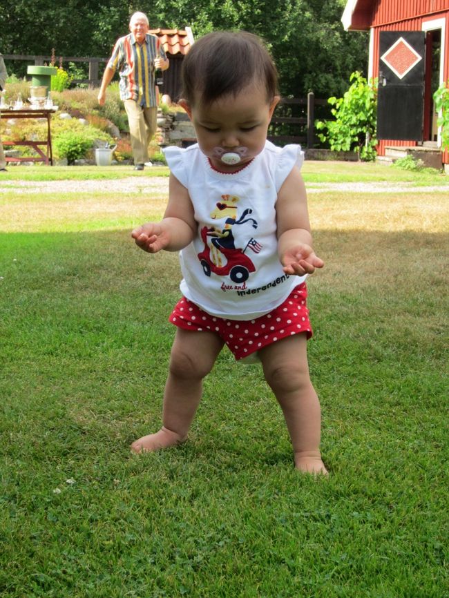 めいっこちゃん（スウェーデン×日本）。<br />こんな広いお庭ならのびのび遊べるね。