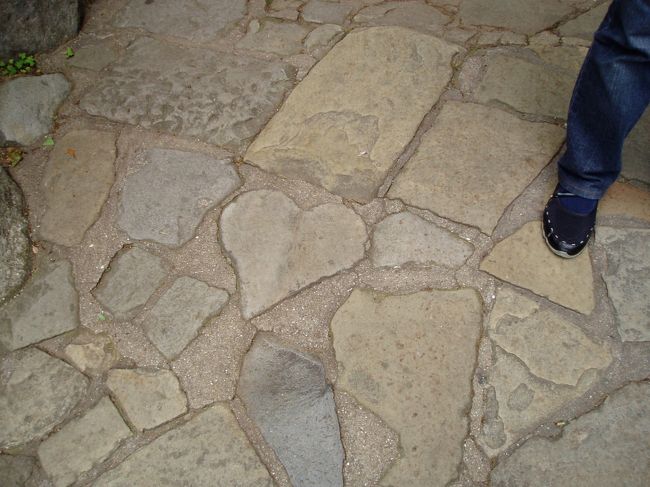 ハート型！！もう一つも見つけたよ〜！そういえば表紙の写真の花畑？もハート型ですね。