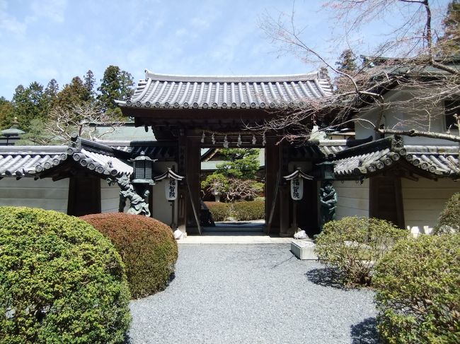 さっそく荷物を置かせてもらい。<br />観光へ。