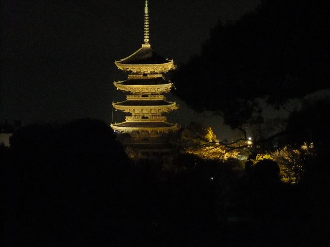 これです！これが見たかったんです！！<br /><br />窓からの眺め・・・最高・・・<br /><br />ですので弁当にしたんです。