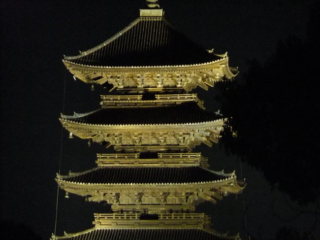 たしか夜１０時くらいまでライトアップしてました。