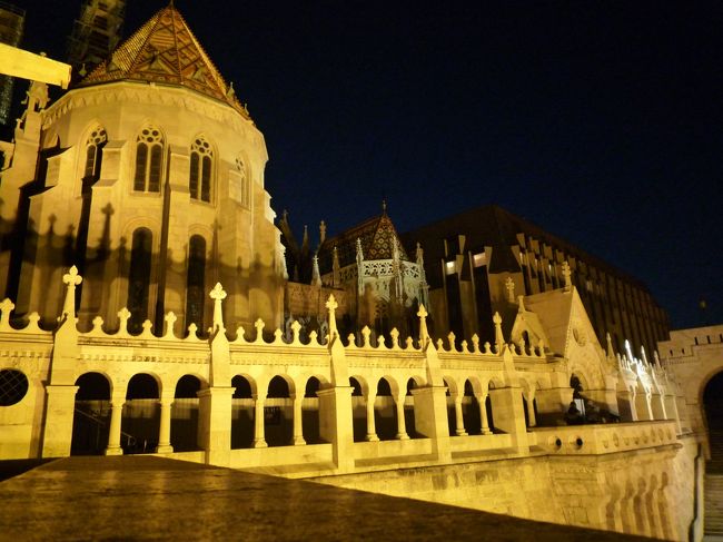 美しい夜景にかんぱーい！