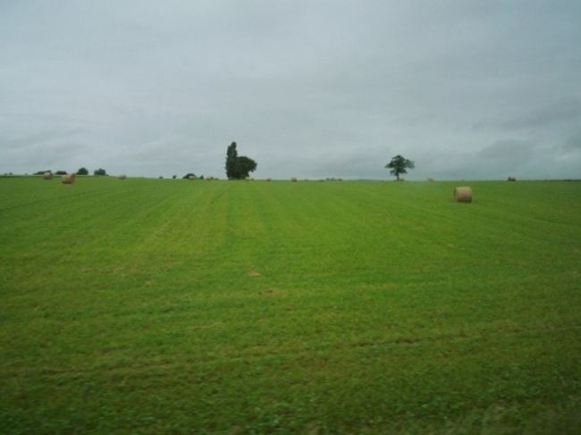 どこまでも続く牧草地帯。<br />