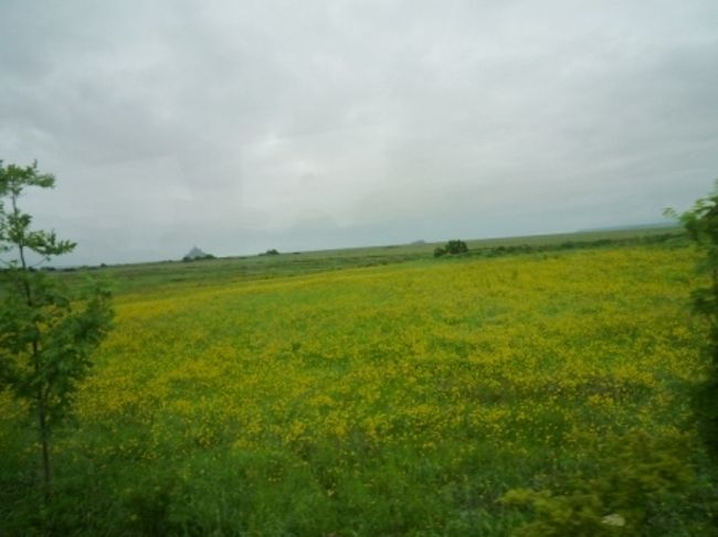 キレイなお花畑〜って見ていたら、すっごい向こうの方にモン・サン・ミシェルが！！