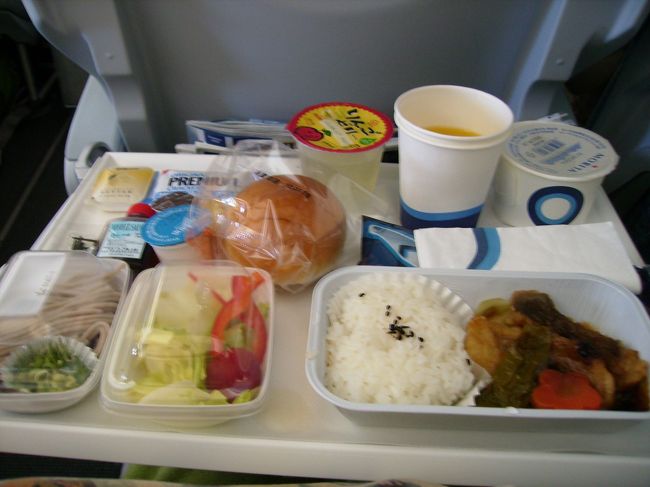 機内食は、魚とチキン。<br />魚にしました。<br />