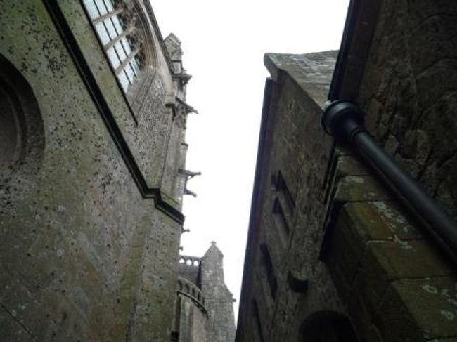 ここにも怪獣キマイラ達！？