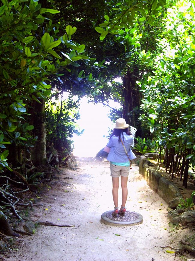 木陰なので涼しい