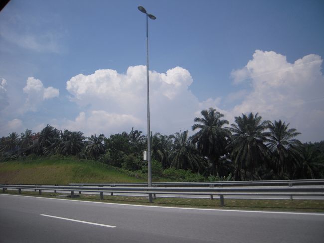 外はいっきに南国ムード〜！<br />ホテルへ向かいます。