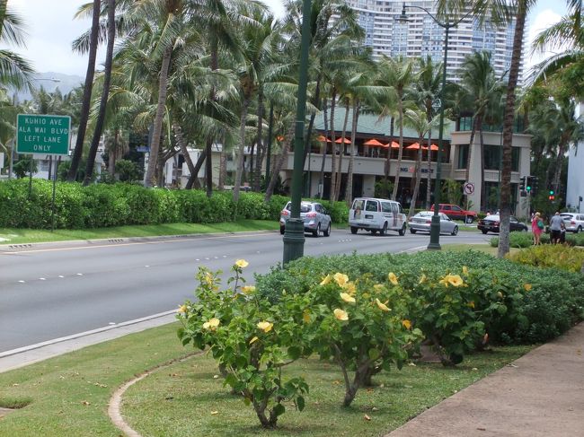 朝に到着したので、ホテルの部屋にはまだ入れず･･･<br /><br />とりあえずランチを食べに行きます！