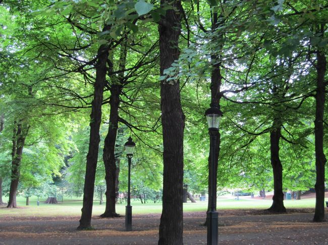 ホテルの向かい側は公園なので、早速お散歩。<br />なんか緑が素敵だわ。