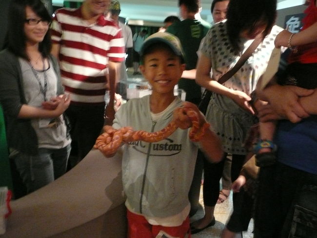 本物の蛇。<br /><br />思わぬイベントに　笑顔。<br /><br />台湾も夏休み中・・子供向けの自由研究のイベント<br />でした。