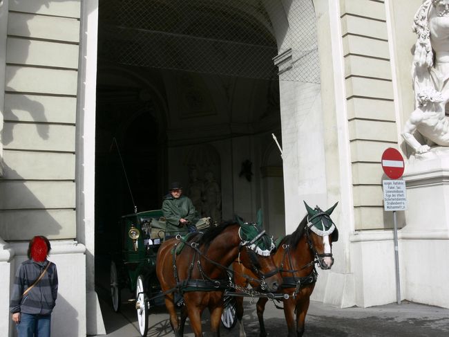 ウィーンの町でよく見かける観光用の馬車。