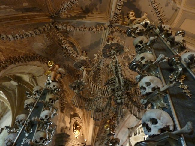 みなさんこのアングルの写真が好きですね。