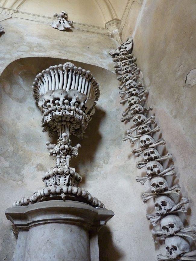 これはかなり立派ですね。何人分？といった感じです。