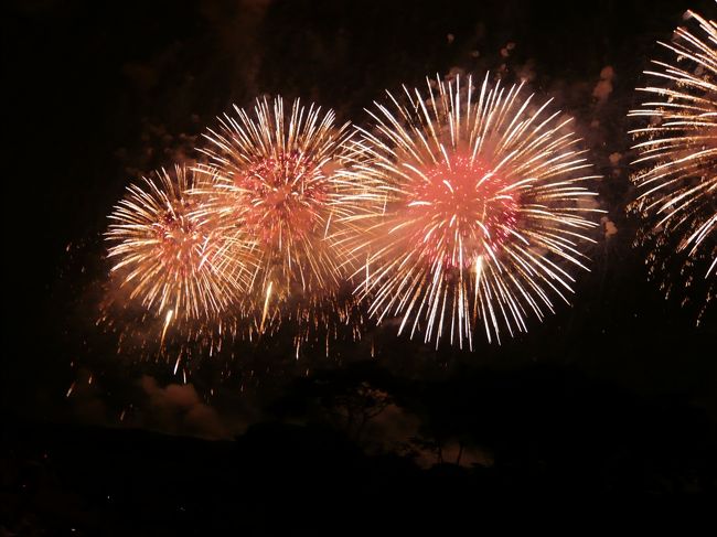 10年夏 長岡まつり大花火大会のニューフェニックスは凄い迫力でした 長岡 寺泊 新潟県 の旅行記 ブログ By Qantastelstraさん フォートラベル 10年夏 長岡まつり大花火大会のニューフェニックスは凄い迫力でした 長岡 寺泊 新潟県 の旅行記 ブログ By Qantastelstraさん フォートラベル