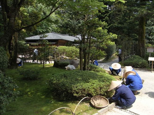 庭をいじる人たち。