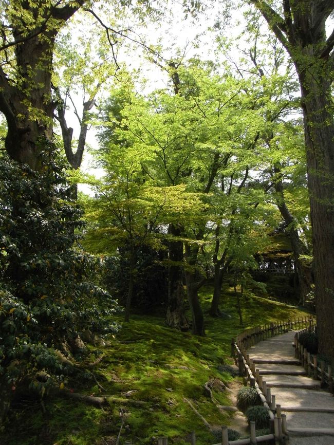 新緑がきれいです。