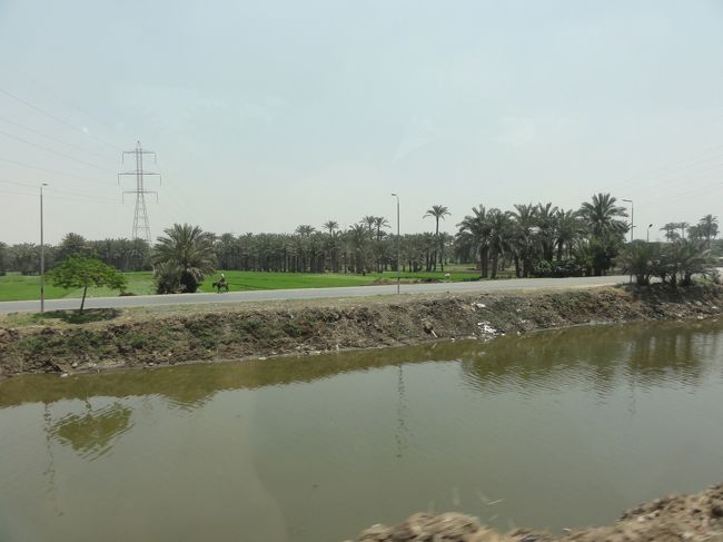 オプショナルで申し込んだ<br />『サッカラ・ダハシュール観光』へ向かう。<br /><br />ここで、バスはオプショナル参加組みと不参加組みとに別れ<br />別々のバスに乗った。