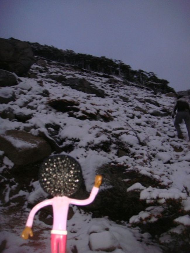 どうりで寒いワケだよ。こんなに雪が積もっていたよ・・・。