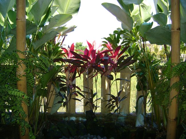 <br />　目の前にたんぼが広がります。<br /><br /><br />　のどかぁ〜〜〜。