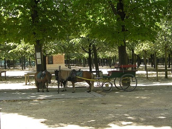 ポニーの馬車を発見。<br />子供たちが楽しんでいました。