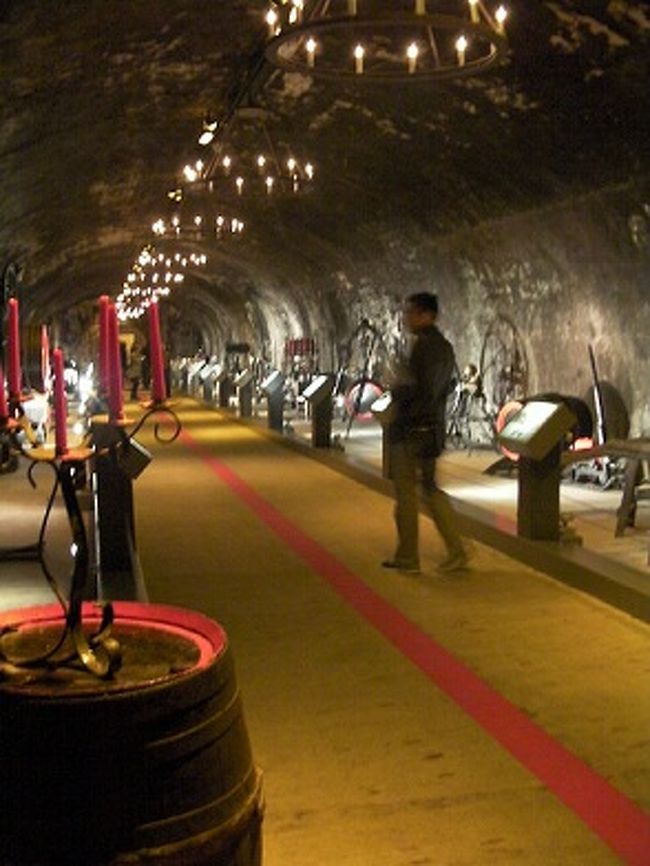 カーブと共に、シャンパン醸造博物館もありました。