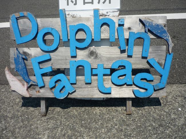 初日に伊東のドルフィンファンタジーへ行き、イルカとのふれあい体験に参加しました。