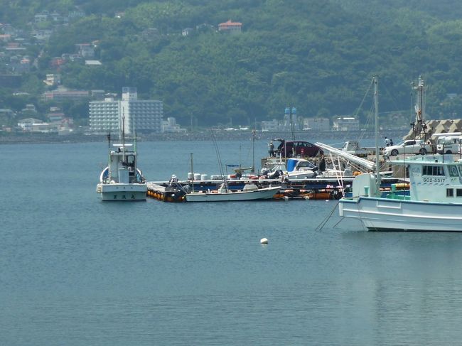 遠くに見える生簀でふれあい体験ができます。<br />最初にイルカの生態や説明を受け、イカダで生簀へ渡り実際にイルカと触れ合えます、握手したりお腹を触ったり、キスをしてもらったり、ジャンプもしてくれます。<br />子供たちは大満足！！<br />全部で約４５分位かな？<br />