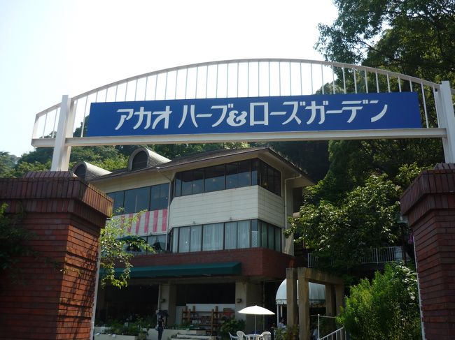 2日目熱海のアカオハーブ＆ローズガーデンに立ち寄りました。<br />子ども達は、カブト・クワガタ取りやいろいろな体験(有料)が出来思っていた以上に楽しめました。