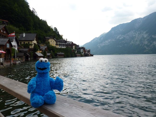 今回の旅の相棒もハルシュタットの風を味わって貰いました。<br /><br />＊＊<br /><br />ハルシュタットは1時間しか時間がなかったのですが<br />狭い街なので観光時間という意味では十分です。<br /><br />※なお、ご飯の時間込みの自由時間1時間なので、正直間に合いません。<br />正直に運転手に行ったら結局1時間15分くらいの時間が与えられたので、<br />どうしても間に合わない場合は最悪なんとかなります。<br /><br />というのは一緒に居た欧米人の2人が納骨堂を見てないから見たいと<br />運転手に伝えたら出発時間を15分のばして貰ってましたので。