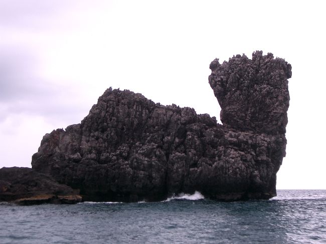 ラクダの形の岩です。