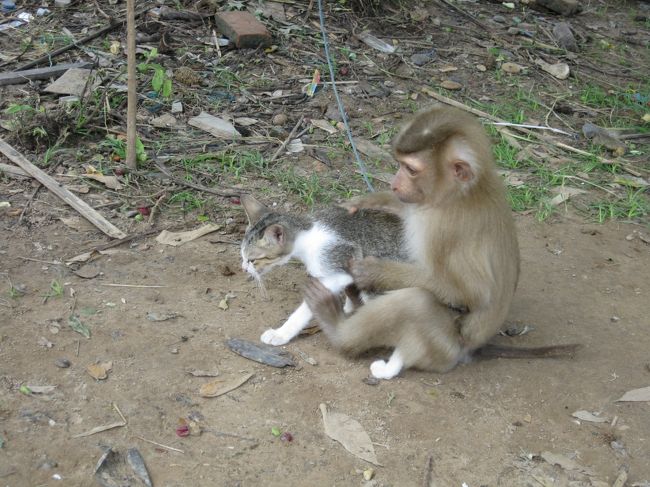 そう、思っていた矢先、<br /><br />ヤッチマッタナー！<br /><br />倒錯した愛の形！！<br /><br />あんたら、まだ未成年だろう？！<br /><br />とは言え、走りだしたら止まらないのが性。<br />