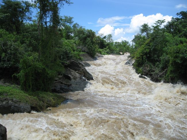 つり橋を渡る…<br /><br />怖い…<br /><br /><br />俺は高所恐怖症だった。<br /><br />小学生低学年の頃、夏休みのレクリエーション（子ども会ごとの遠足）で近くのダム（水力発電所）に行った。<br /><br />ダムの堤防？の上でバスから降ろされた。<br /><br />…何でこんなところで降りるの？渡って向こう岸まで行けばいいのに…<br /><br />そう思いながらバスから降り、数歩進んだ。<br /><br />すると、<br /><br />ヒューっ！<br /><br />足元から風が吹き上がってきた。<br /><br />「何だ？」<br /><br />足元を見ると、コンクリートの地面でなく、鉄格子の地面だった。<br /><br />鉄格子を通して、堤防の下まで見えた。<br /><br />一瞬固まってしまい、何も言えなかった。<br /><br />小便はちびらなかったけど、とても怖かった。<br /><br />それ以来、高所恐怖症になってしまった。<br /><br />徐々に、治りつつあるけど、未だに足元が不安定なはしごに登ったりすると怖くなる。<br /><br />この橋も下が見えるので少し怖い。<br /><br /><br />余談は、さておき、こんなところに落ちたら、川の圧力に負けて何もできないまま沈んでしまうだろう。<br />