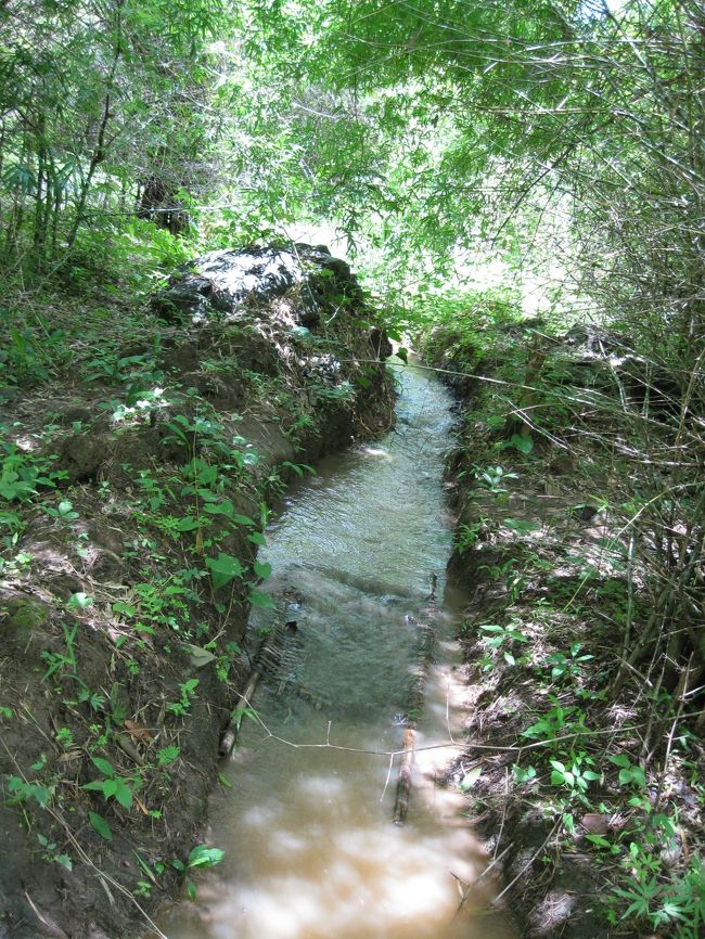 橋を渡ったあと自転車を置き、ゴウゴウと音のする方へ進む。<br /><br />途中の水路で罠を発見。<br /><br />わざわざ水路を掘ったのかな？<br /><br />でも、仕掛けは旨く機能してないですねー。<br /><br />色々と工夫してんだねえ。<br />