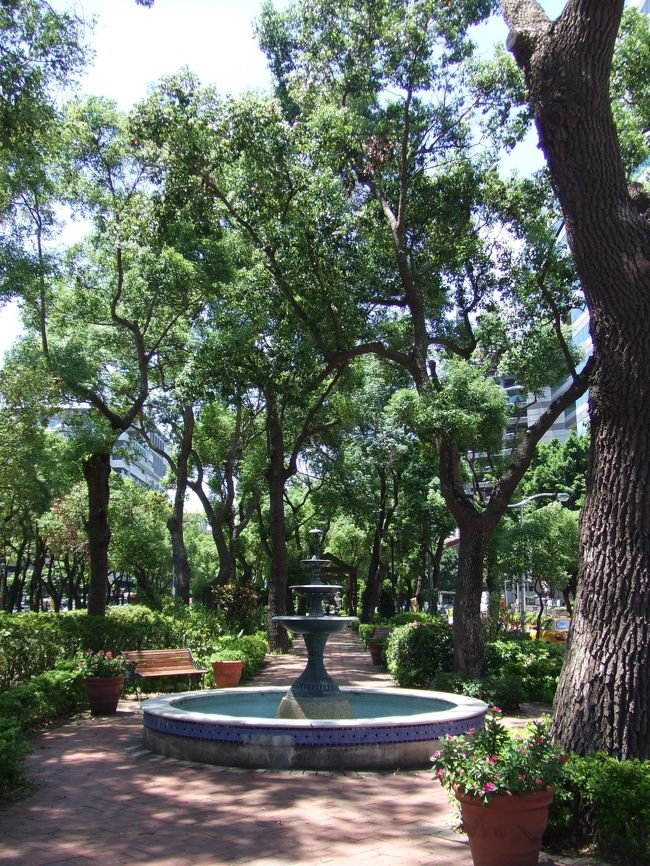 ２日目は、まず小籠包がおいしいという小上海へ向かいました。<br />最寄り駅から少し離れていたためタクシーで行こうかと母に尋ねたけど、歩けるというので歩くことに。