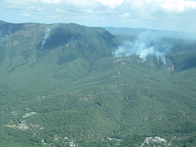 最後は熱帯雨林の近くを飛んでくれました。