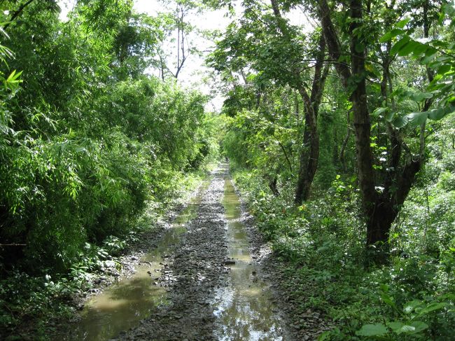 近くのレストランで昼食を採っているうちに一雨来た。<br /><br />うえっ！この道を走るのかい？<br /><br />やだな…<br /><br />所々にヌカルミができて、それを越えるたびに水と泥がかかる。<br /><br />自転車も自分もドロドロになった。<br />