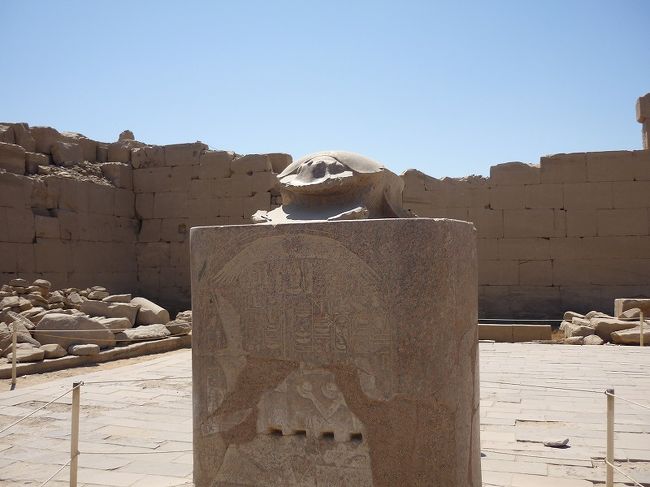 古代エジプトの信仰の１つスカラベ。フンコロガシなんですよ。朝日に見立てた糞を転がす姿が、太陽信仰と重なって、気持ちはわかりますが、何とも不思議な