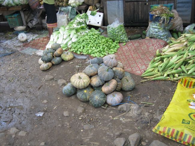 カンボジアが原産だと言われているが、ストゥントレンの市場でしか見られなかったカボチャ。<br />