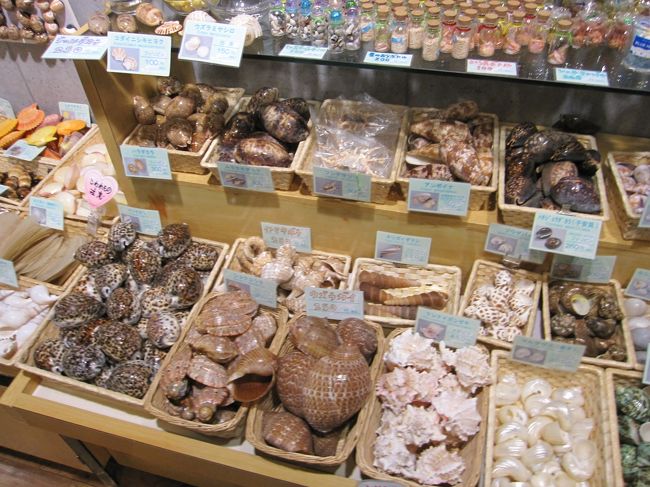 07.2010 夏休み！！ 三重県鳥羽旅行 ～鳥羽水族館 貝殻標本
