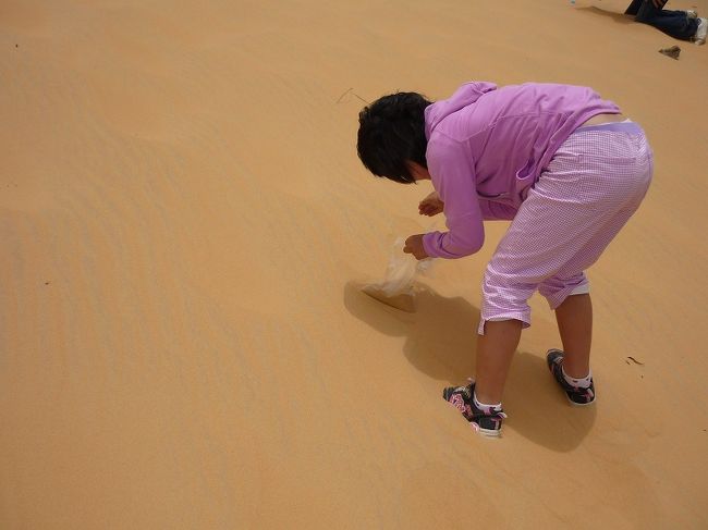 砂がほしいという希望者のためにちょっとワンストップ。