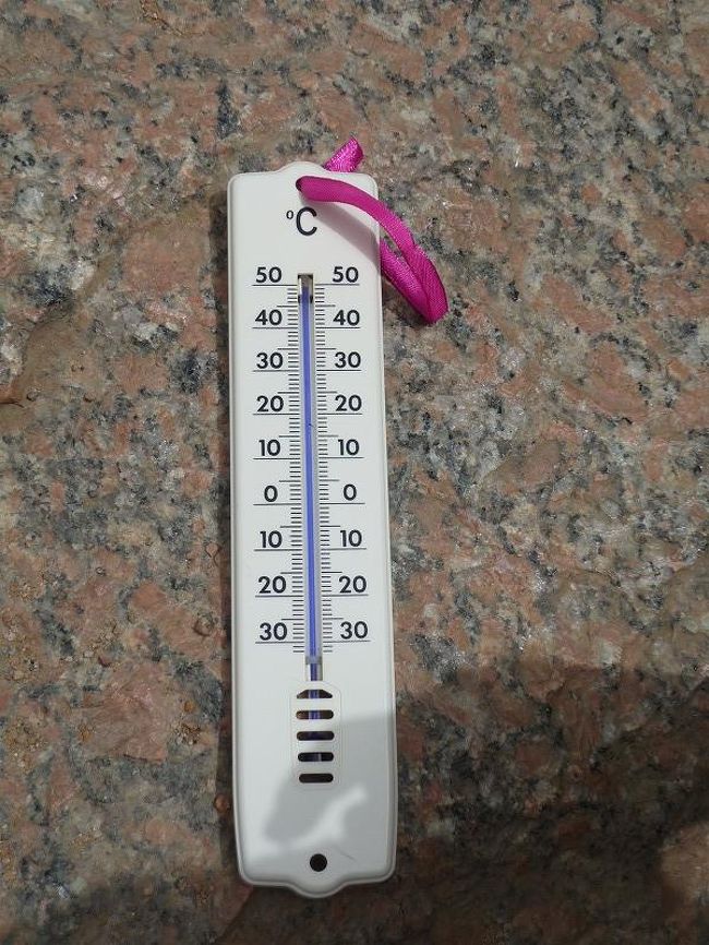ここで、温度測定。これは日向ですが摂氏五〇℃振り切ってます。