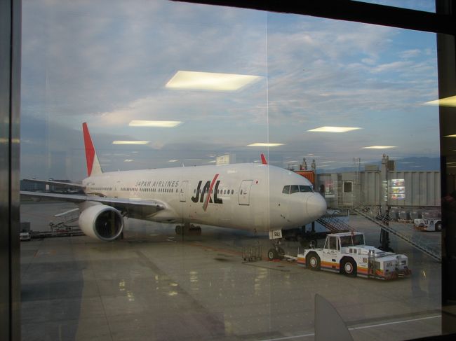 伊丹発のJALで行きました。羽田からはマジカルファンタジー号で楽々アクセスです。