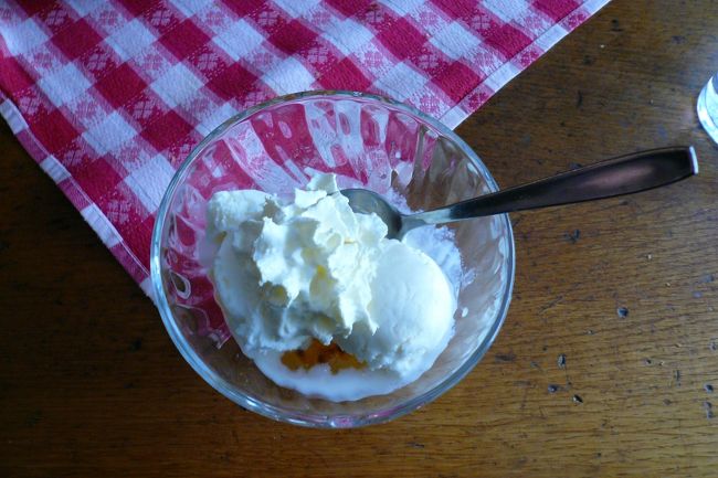 デザートのアイス。<br />口の中がさっぱり！