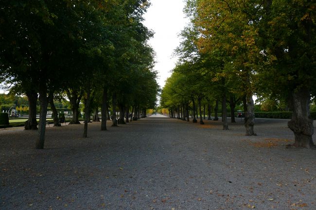 両脇の木々が真っ直ぐに続いてるこの風景。<br />憧れるわ〜