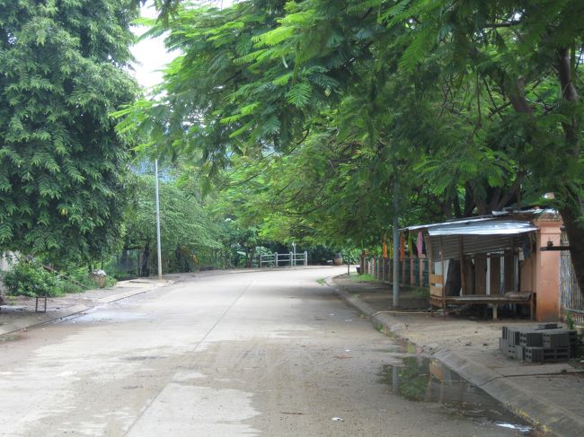 緑も沢山ある。<br />