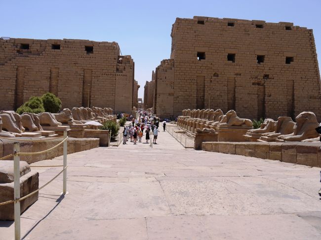 初日の観光は、１０：００ぐらい。<br /><br />カルナック神殿は、猛烈に熱かった。<br /><br /><br />