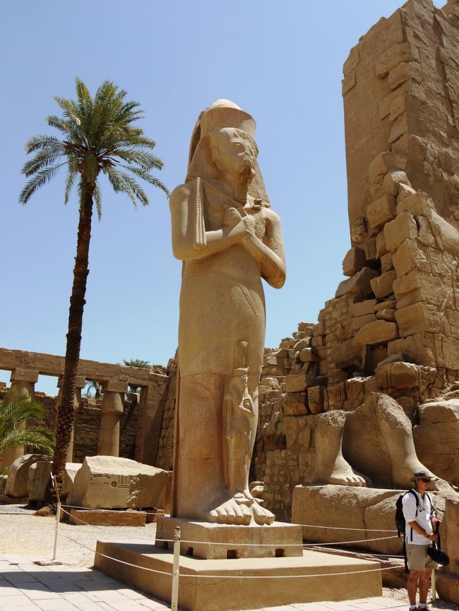 コンパクトカメラが、光飛びすぎて使えない・・・。<br />白っぽくなってしまった。<br />日差しのせいか、何度も落としているデジカメ自体がおかしいのか。