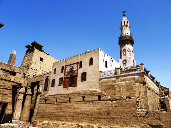 即座に、日陰に避難です